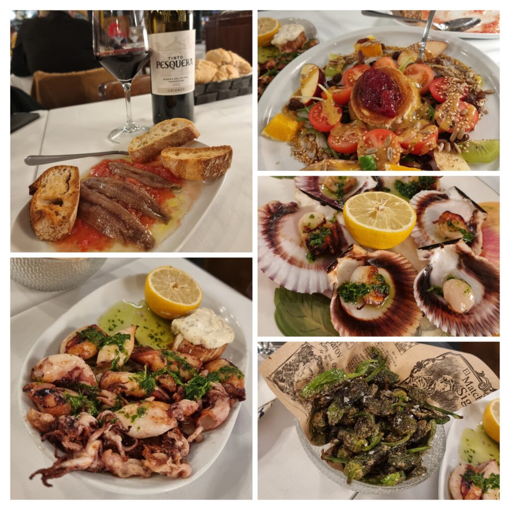 20250825_180633-COLLAGE