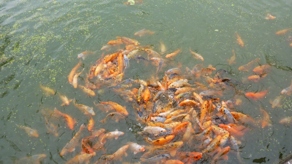 1000010407 Séjour à Hué
Voyageretbienmanger.com