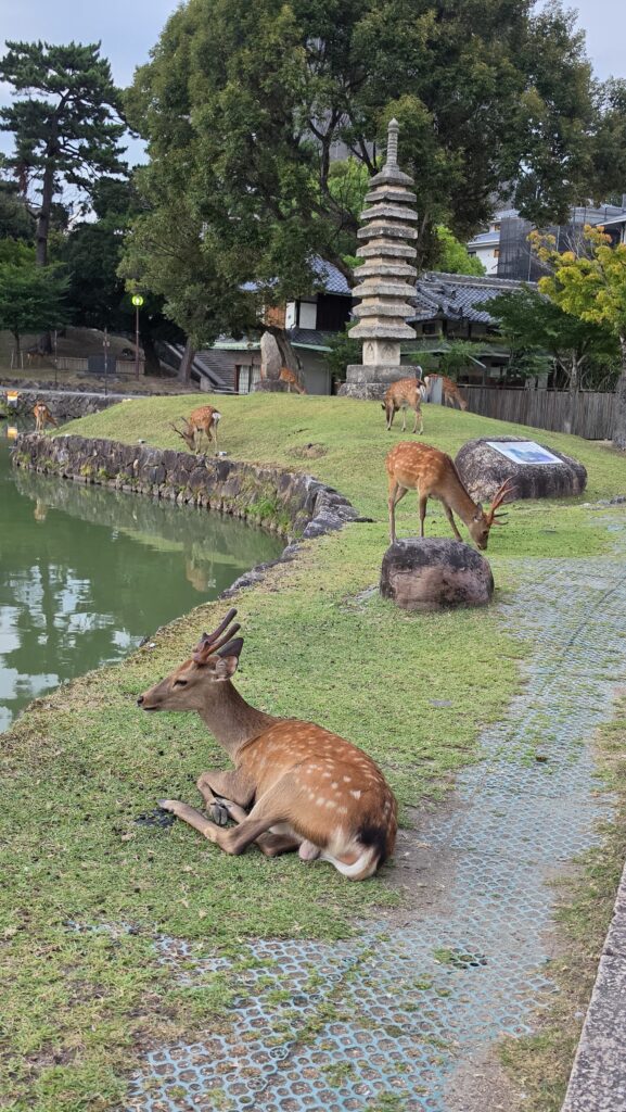 Séjour à Kyoto
Voyageretbienmanger.com
