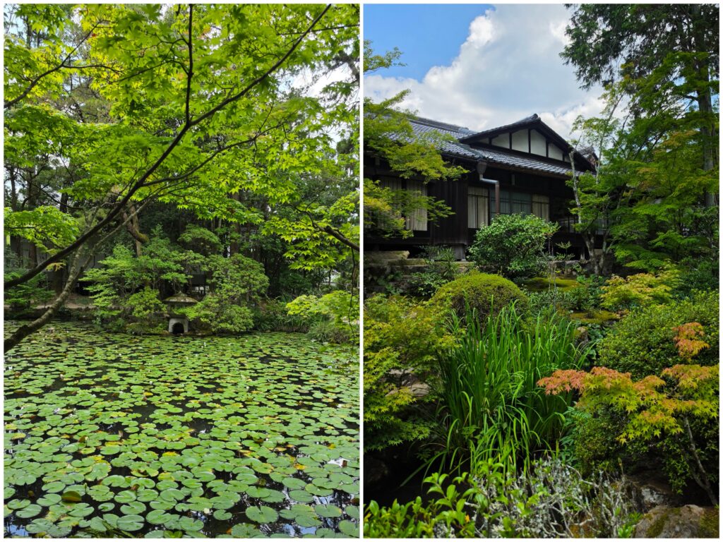 Séjour à Kyoto
Voyageretbienmanger.com